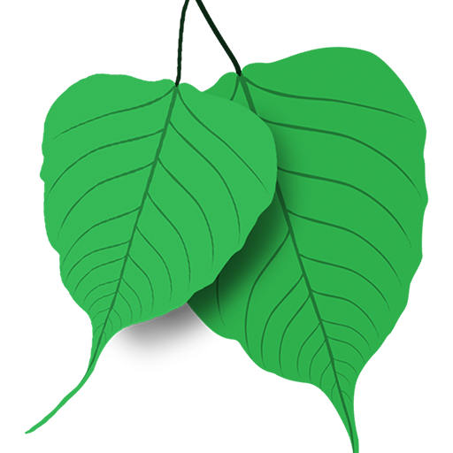 Bodhi Media